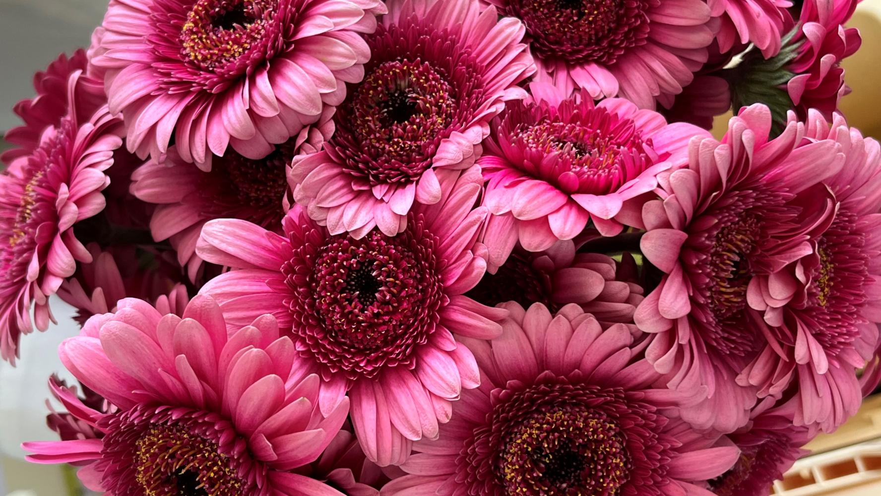 Bloemen ZGM 2