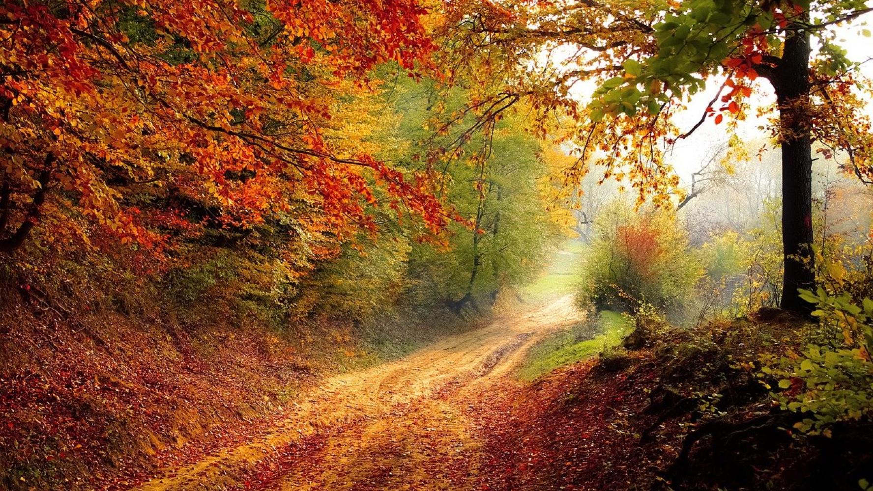 Road