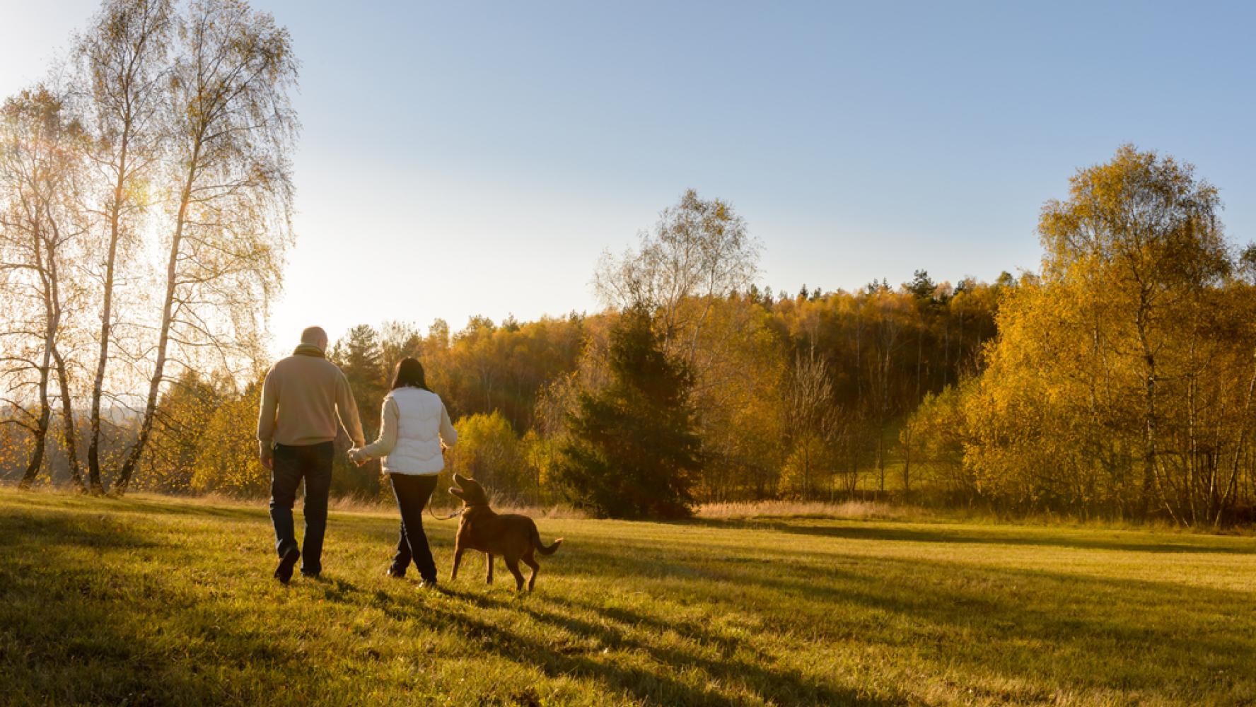 Wandelen in Drenthe