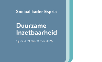 Sociaal kader duurzame inzetbaarheid