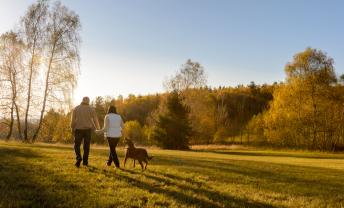 Wandelen in Drenthe